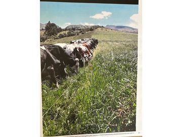 VENTA HACIENDA 257 HECTAREAS -CANTON MEJIA-TAMBILLO-BELEN