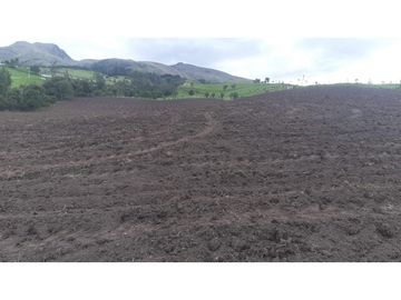 VENTA HACIENDA 257 HECTAREAS -CANTON MEJIA-TAMBILLO-BELEN