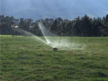 HACIENDA 25 HECTAREAS EN LA MEJOR ZONA DE MACHACHI