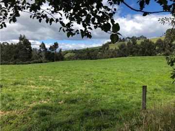 HACIENDA 25 HECTAREAS EN LA MEJOR ZONA DE MACHACHI