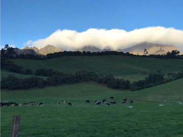 HACIENDA 25 HECTAREAS EN LA MEJOR ZONA DE MACHACHI