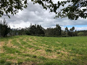 HACIENDA 25 HECTAREAS EN LA MEJOR ZONA DE MACHACHI
