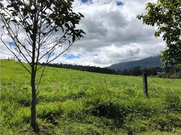 HACIENDA 25 HECTAREAS EN LA MEJOR ZONA DE MACHACHI