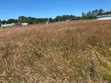 Parcela en venta en CORRAL