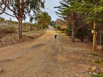 Parcela en venta en LOS VILOS