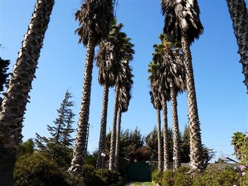 Parcela en Venta en Parcela Ex Fundo Miraflores - San Pedro - Quillota