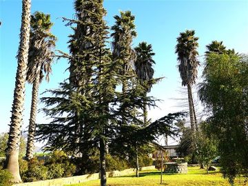 Parcela en Venta en Parcela Ex Fundo Miraflores - San Pedro - Quillota