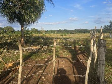 ¡Excelente Rancho en venta! Tizimin, Yucatán.