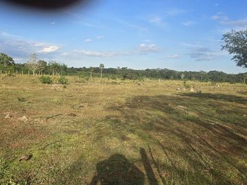 ¡Excelente Rancho en venta! Tizimin, Yucatán.