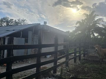 ¡Excelente Rancho en venta! Tizimin, Yucatán.