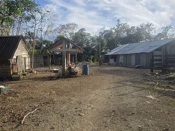 ¡Excelente Rancho en venta! Tizimin, Yucatán.
