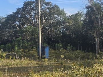 ¡Excelente Rancho en venta! Tizimin, Yucatán.