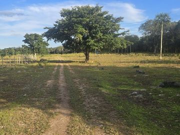 ¡Excelente Rancho en venta! Tizimin, Yucatán.