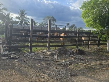 ¡Excelente Rancho en venta! Tizimin, Yucatán.