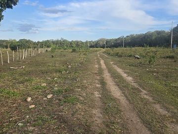 ¡Excelente Rancho en venta! Tizimin, Yucatán.