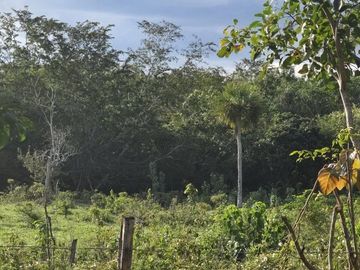 ¡Excelente Rancho en venta! Tizimin, Yucatán.