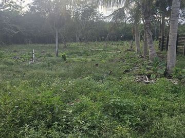 ¡Excelente Rancho en venta! Tizimin, Yucatán.