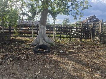 ¡Excelente Rancho en venta! Tizimin, Yucatán.