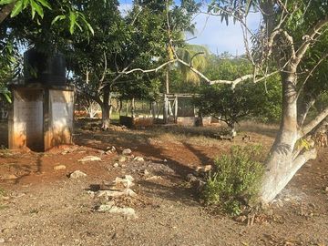 ¡Excelente Rancho en venta! Tizimin, Yucatán.