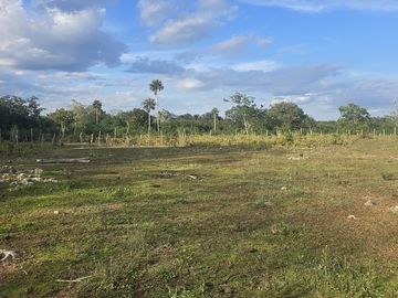 ¡Excelente Rancho en venta! Tizimin, Yucatán.