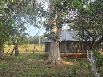 ¡Excelente Rancho en venta! Tizimin, Yucatán.