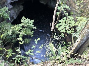 ¡Excelente terreno, 2 Cenotes en venta! Valladolid, Yucatán.