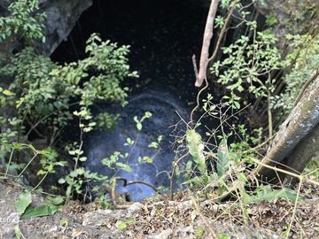 ¡Excelente terreno, 2 Cenotes en venta! Valladolid, Yucatán.