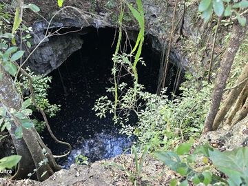 ¡Excelente terreno, 2 Cenotes en venta! Valladolid, Yucatán.