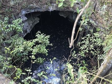 ¡Excelente terreno, 2 Cenotes en venta! Valladolid, Yucatán.