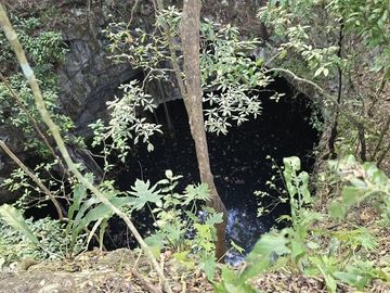 ¡Excelente terreno, 2 Cenotes en venta! Valladolid, Yucatán.