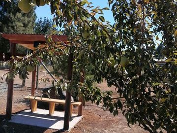 Parcela en Venta en av,La Paz camino al cementerio