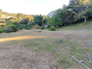 Venta Terreno Lago Ranco