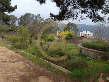 Se Venda Parcela Urbana 5.000m2 Centro Quilpuè