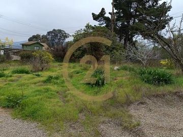 Se Venda Parcela Urbana 5.000m2 Centro Quilpuè