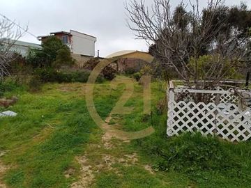 Se Venda Parcela Urbana 5.000m2 Centro Quilpuè