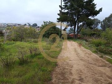 Se Venda Parcela Urbana 5.000m2 Centro Quilpuè