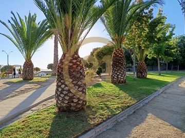 Se vende excelente casa independiente, Los Pinos.