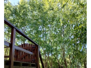 Casa en venta - 1 Dormitorio 1 Baño - 1.012Mts2 - Tigre