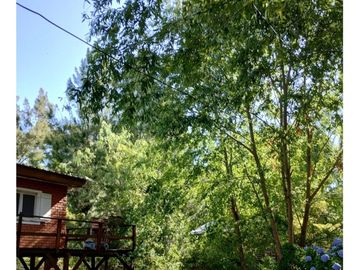 Casa en venta - 1 Dormitorio 1 Baño - 1.012Mts2 - Tigre