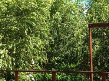 Casa en venta - 1 Dormitorio 1 Baño - 1.012Mts2 - Tigre