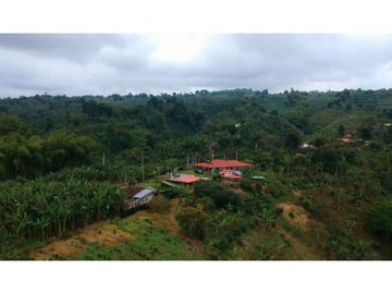 FINCA EN VENTA - FILANDIA