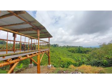 FINCA EN VENTA - FILANDIA