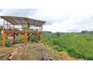 FINCA EN VENTA - FILANDIA