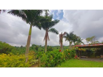 FINCA EN VENTA - FILANDIA