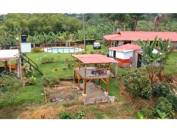 FINCA EN VENTA - FILANDIA