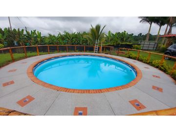 FINCA EN VENTA - FILANDIA