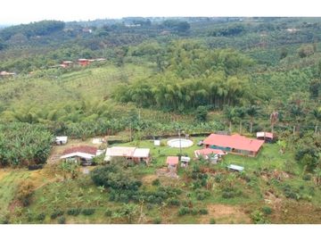 FINCA EN VENTA - FILANDIA