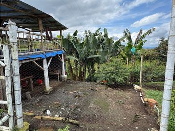 FINCA EN VENTA - FILANDIA