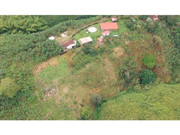 FINCA EN VENTA - FILANDIA