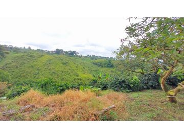 FINCA EN VENTA - FILANDIA